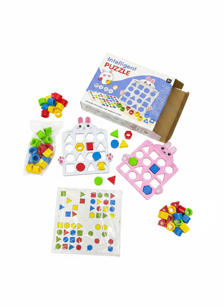 Intelligent Puzzle Shape Sorter